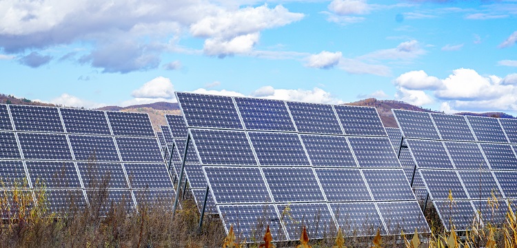 紡織品防螨檢測-專業(yè)除螨防螨檢測機構