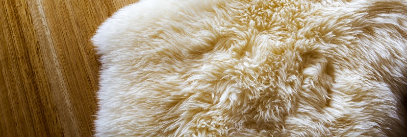 如何進行電子電器產(chǎn)品檢測 如何選擇正確的檢測項目 ?電能質量檢測能力比較強的有推薦嗎 