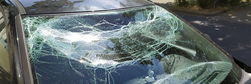 國內(nèi)抗原檢測試劑盒，哪家比較靠譜呢 ?實驗筆記丨病毒感染細胞實驗的步驟詳解（上卷）