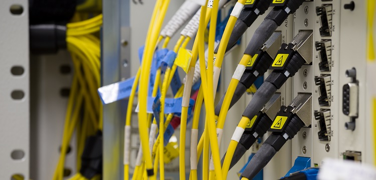 2023年蘭州大學(xué)625公共衛(wèi)生綜合考研資料?讀公共衛(wèi)生檢測(cè)(MPH)是怎樣的體驗(yàn) 健明迪檢測(cè)