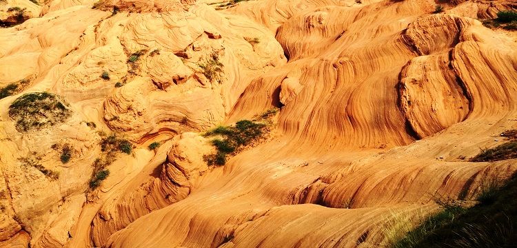 殺蟲劑第三方檢測(cè)機(jī)構(gòu)：殺蟲劑檢測(cè)有哪些項(xiàng)目 