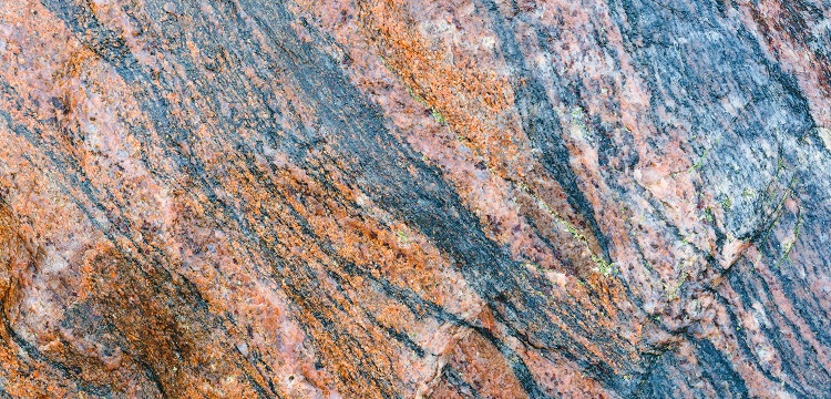 2022年廣東省最新林業(yè)碳匯申報要求匯總：方法學、申報模板、材料清單