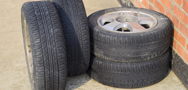 海洋調查規(guī)范：海洋生物調查工作如何進行 