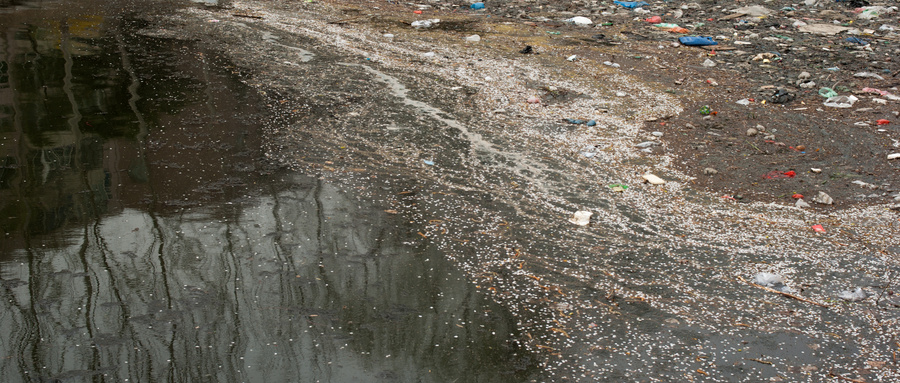 污水毒情監(jiān)測(cè)