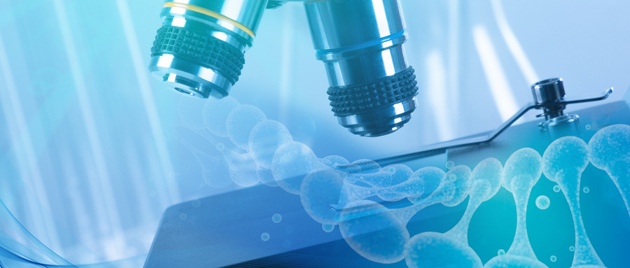 生物相容性評價(jià)