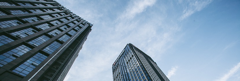 阿霉素誘導(dǎo)致擴張型心肌病小鼠模型