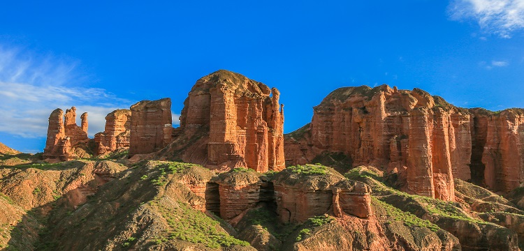 姜辣素檢測(cè)