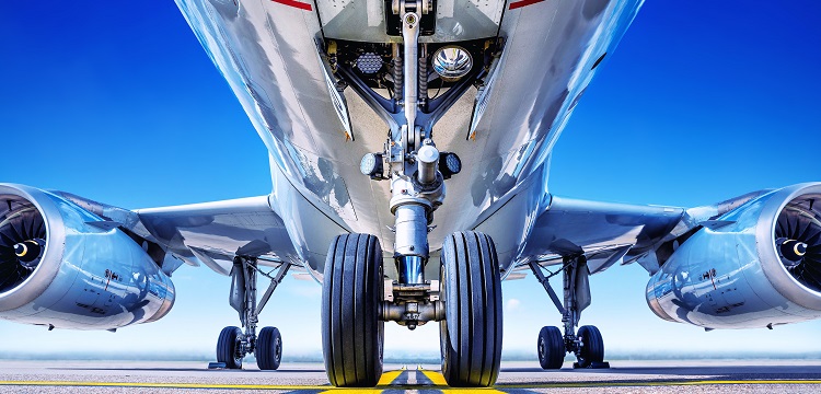 肌營(yíng)養(yǎng)不良小鼠模型