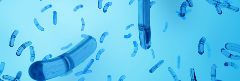 防霉片檢測(cè)