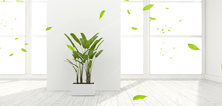 碘酸鈉檢測(cè)