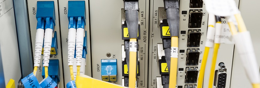 酒石酸的含量測(cè)定