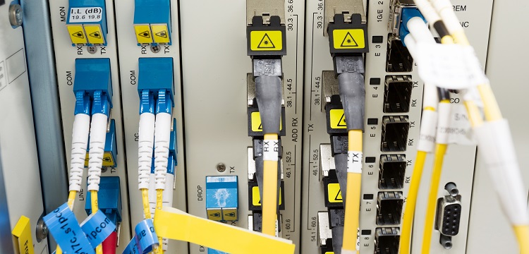 枸櫞酸測(cè)定