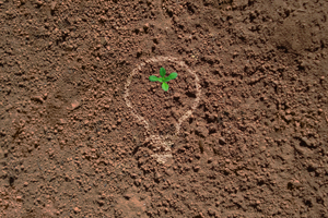 球化劑檢測(cè)