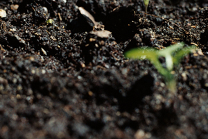 無醛膠檢測(cè)