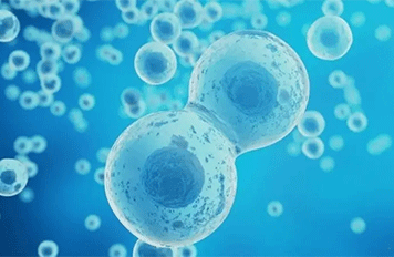 建筑板材檢測(cè)