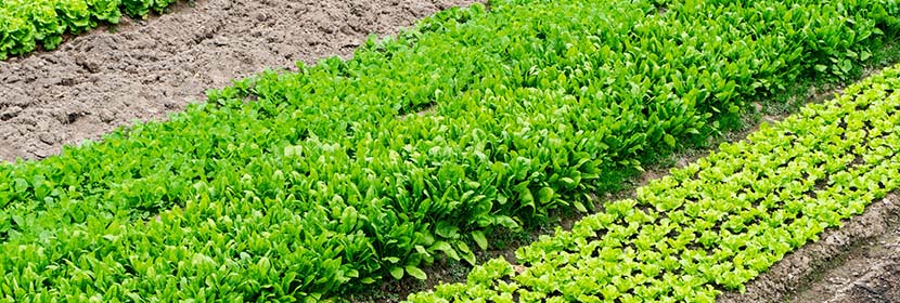 管道無損檢測(cè)