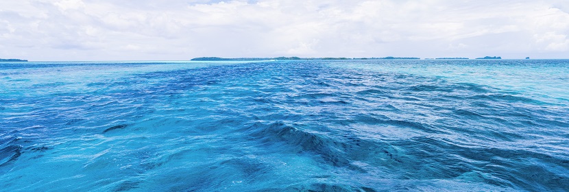 生物膜細(xì)菌檢測