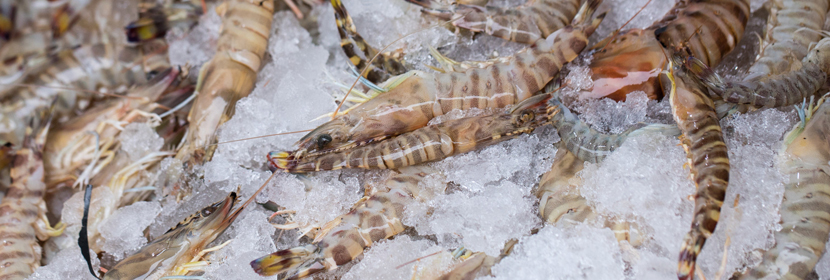 金屬絲布檢測(cè)