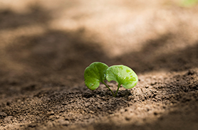 銅翅片管檢測(cè)