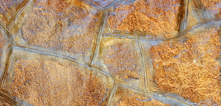 揮發(fā)性氣體檢測