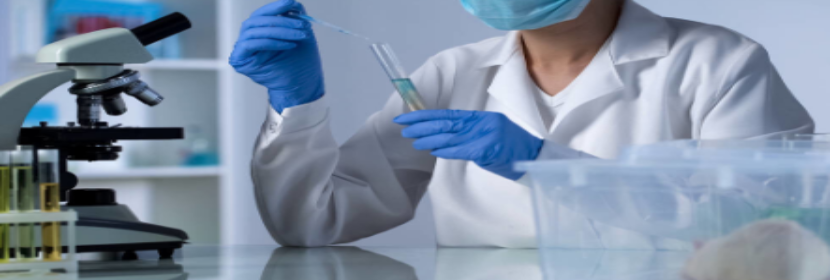 體外哺乳動(dòng)物細(xì)胞微核試驗(yàn)