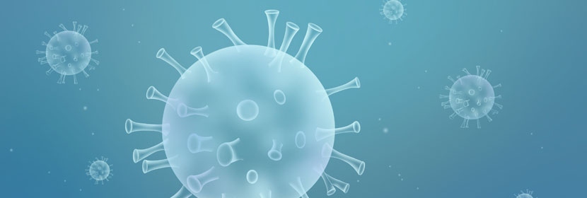 分子生物學(xué)檢測(cè)