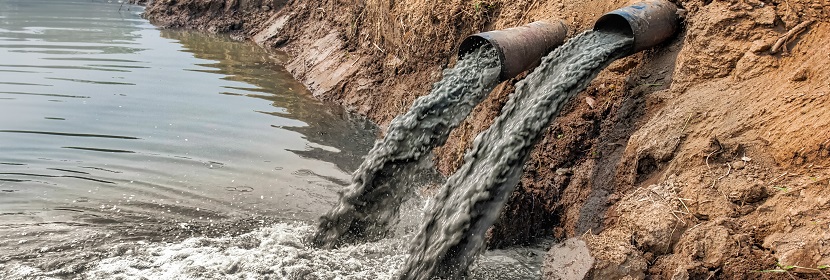 魚類延長毒性14天試驗(yàn)