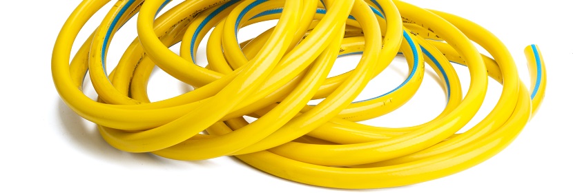 維甲酸誘導(dǎo)第一、二鰓弓綜合征大鼠模型