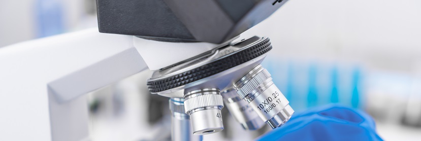 汽車保險(xiǎn)杠聚丙烯(PP)專用料檢測