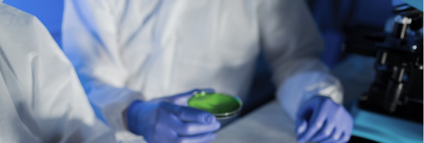 發(fā)泡聚丙烯(PP-E)珠粒檢測