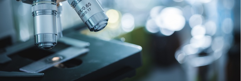 食品包裝用紙與塑料復(fù)合膜、袋檢測