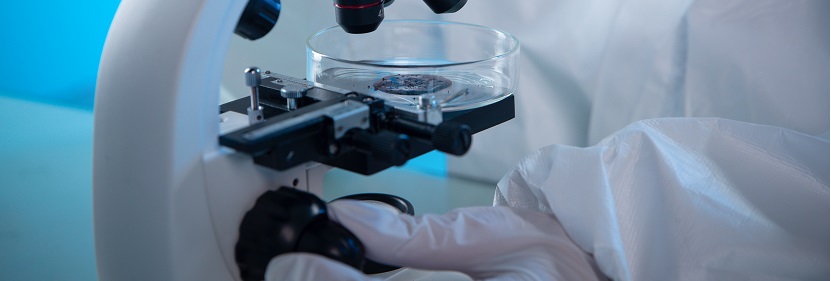 異丁烯-異戊二烯橡膠(IIR)檢測(cè)