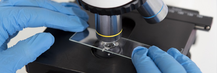 六次甲基四胺檢測